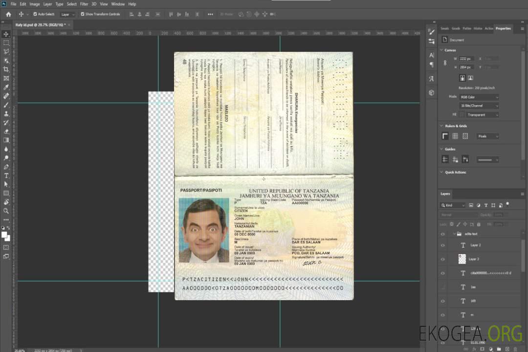 Passeport tanzanien template